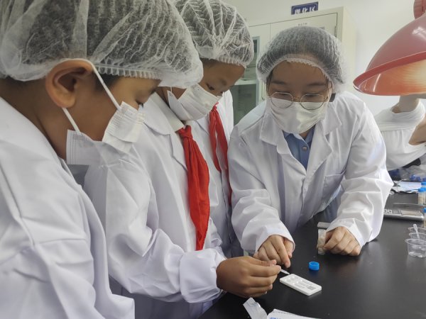 小学生化身“食安小哨兵”！朱泾镇改进形式让萌娃防守“舌尖上的安全”
