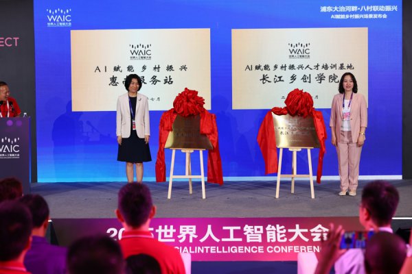 AI赋能，浦东惠南镇八村联动共绘乡村振兴新画卷
